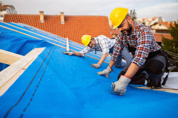 Best Roof Maintenance Services  in Hazel Park, MI