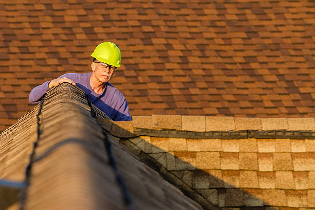 Best New Roof Installation  in Hazel Park, MI