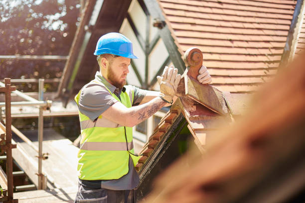 Best Flat Roof Repair Services  in Hazel Park, MI