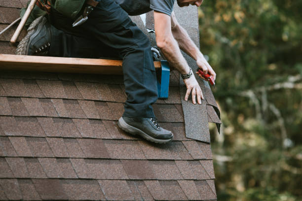 Best New Roof Installation  in Hazel Park, MI